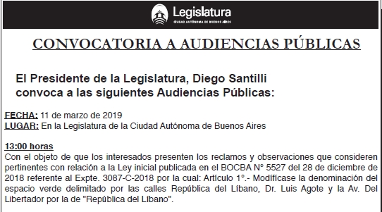 Audiencia publica del 11 de marzo