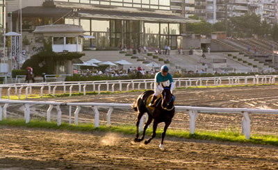 Hipodromo argentino de Palermo