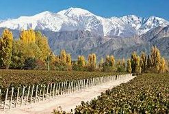 Zucardi la mejor bodega del mundo