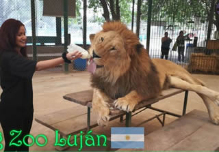 Zoologico de Lujan