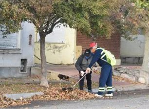 Barrido de hojas secas