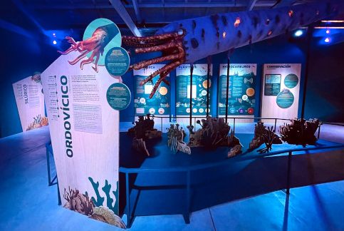 estacion oceanica ecoparque