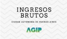 ingresos brutos