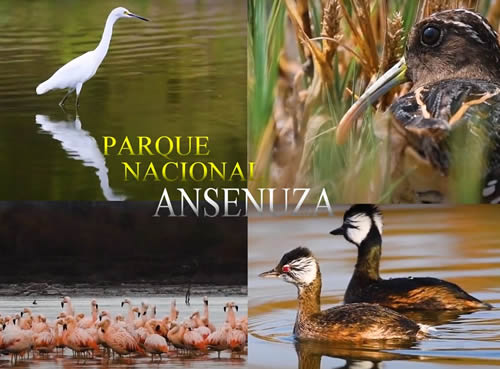 Parque Nacional Ansenuza