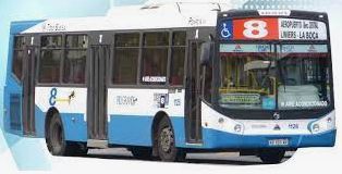 Colectivo linea 8