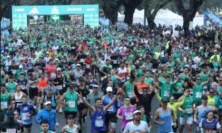 Maraton 42