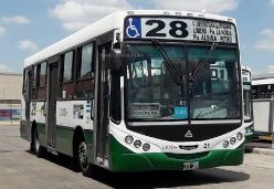 colectivo 28